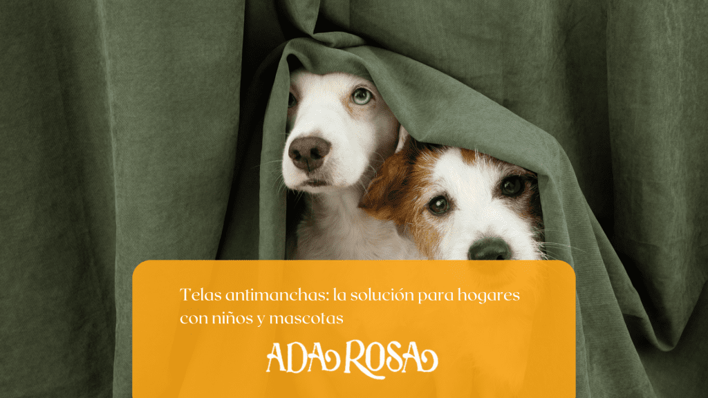 Imagen de dos perros asomados en una cortina verde usada como fondo de blog para telas antimanchas